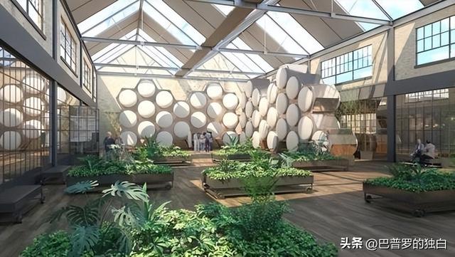 “火葬”将被淘汰？新方式已经在国内试用，很多人表示不能接受