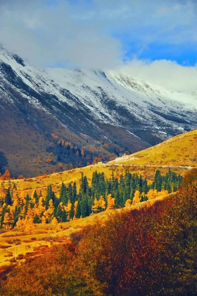 中国彩林第一县！黑水的美镜头不足以描绘！