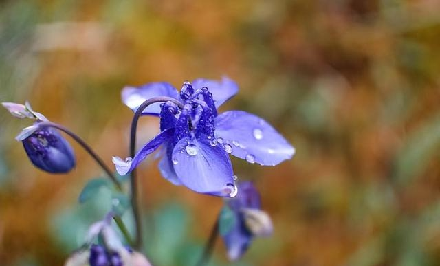 心理学：男女交往，为什么要远离“偏执型人格障碍”的人？