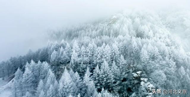 人间仙境!河北进入最佳观「海」期!哪一片云海最入你的眼?