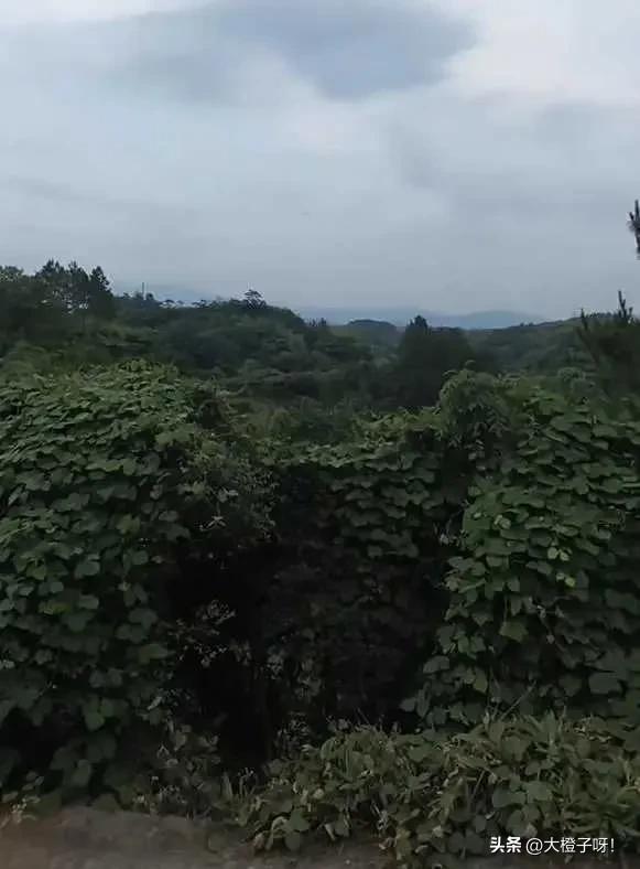 男子开10小时车回老家，在家门口坐10分钟，妻子：真搞不懂男人