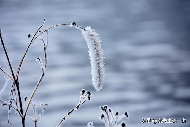 今日十月十五，老话说最怕“十月十五一日晴”，天晴有啥预兆？