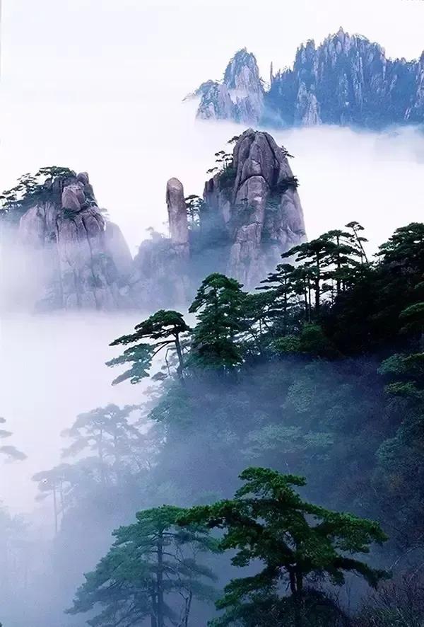 手机壁纸精美图片（98）