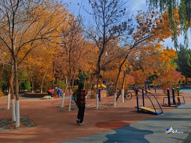 才几天没去,这个公园最近居然变成这样了?!