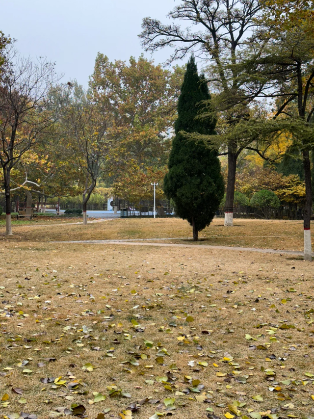 去公园，寻找城市的“书签”