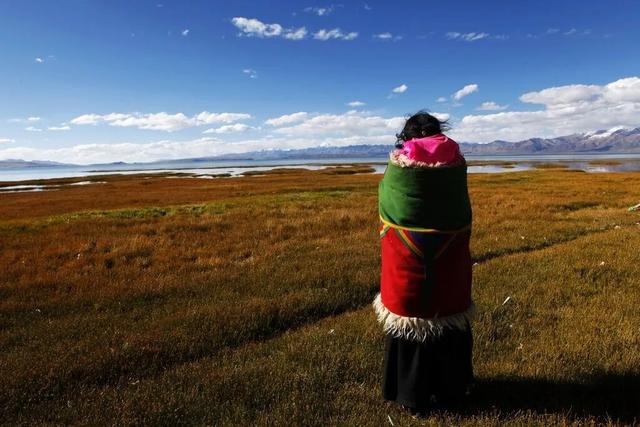 西藏绝美四季：从林芝桃花到阿里湖泊，每一眼都震撼心灵