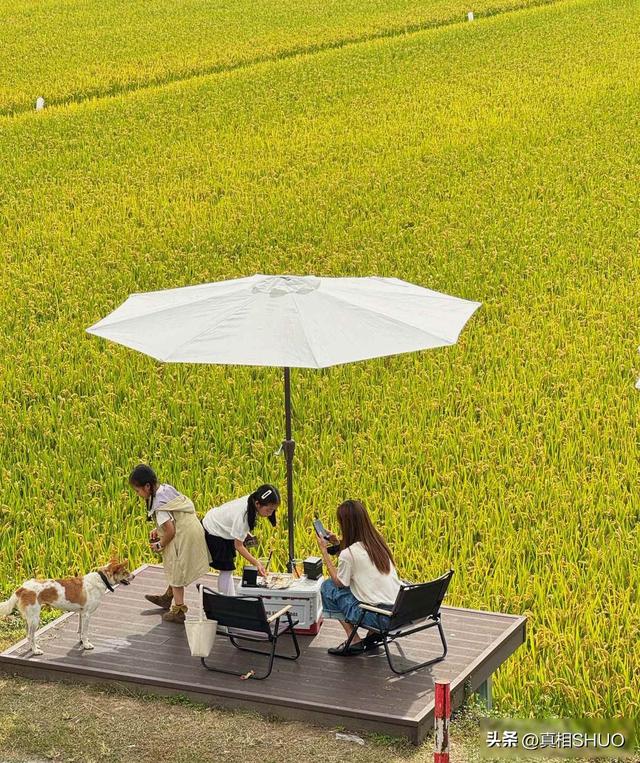 年轻人扎堆小城，热门景区遭嫌弃，这波操作能长久吗？