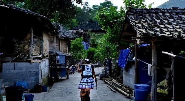 广西与贵州交界处的“菇类村”，女性衣着开放，以母系社会为主