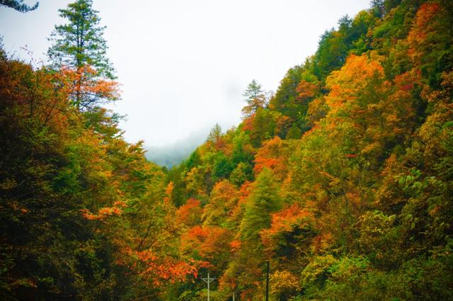 来洋县华阳！赴一场秋日之约~