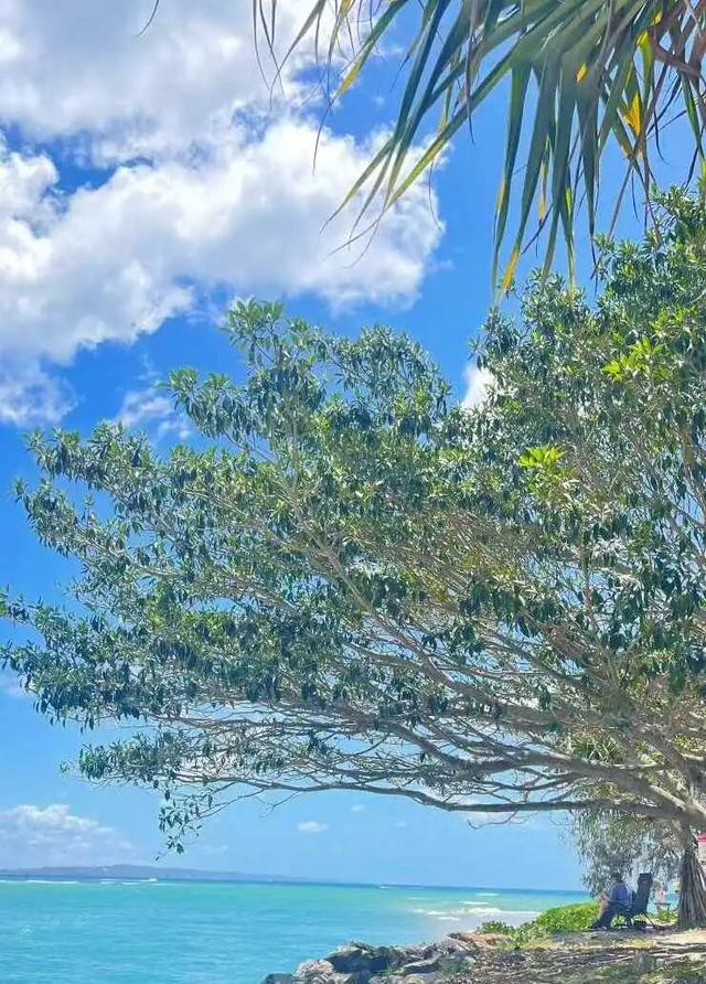 路上·布里斯班 ‖ 又出来赚小时来了