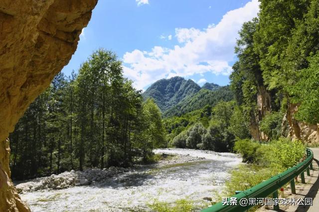 坐落于秦岭深处的黑河森林公园，正美得更肆无忌惮