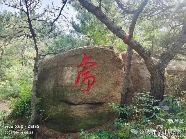 登秦皇岛抚宁天马山｜申艳娟