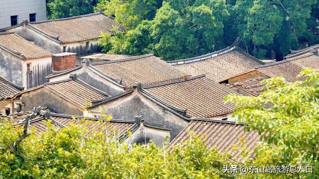 海岛的枫叶红了，走！一起赏枫去，体验海岛秋日美好