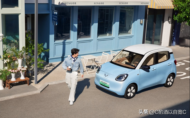 穿梭于烟火气中的小精灵：我的五菱宏光MINIEV购车记