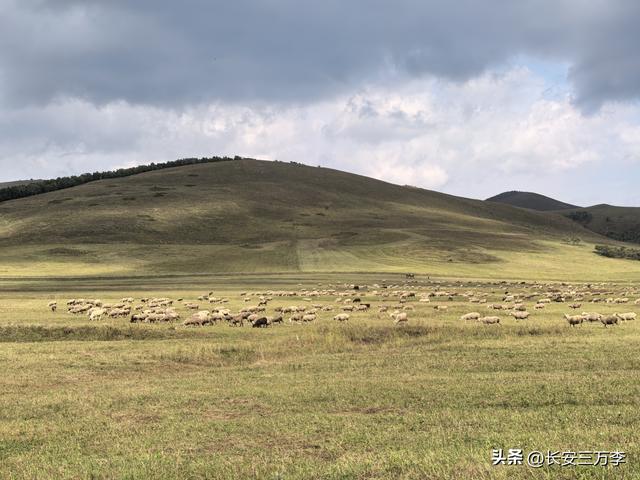 北上大草原第5站：内蒙古乌兰布统