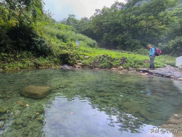 来呀，去白云山看金莲花，辽阳县大黑山风景区境内的白云山