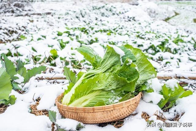 今年大雪不一般！5点04分交节，今冬雪多？看农谚咋说，早了解