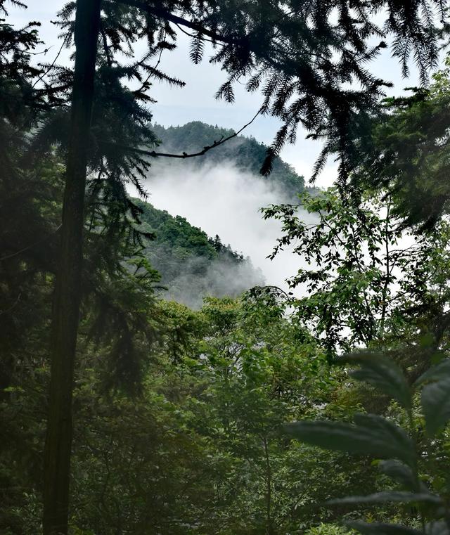 神奇骆崃山 ， 99匹骏马想与你相见