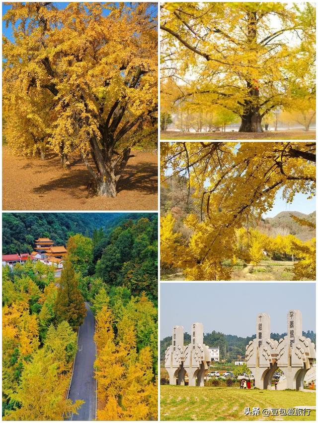 探人文山水，寻历史美食——随州旅游指南