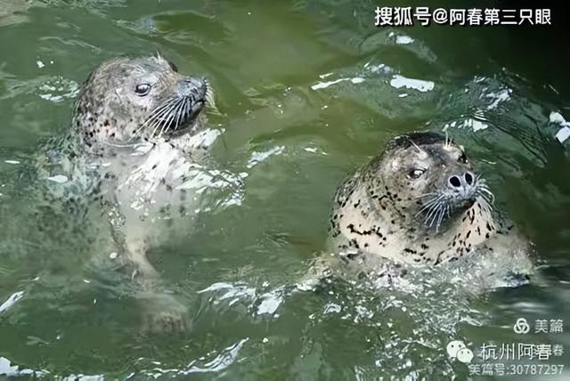大连 之海洋世界