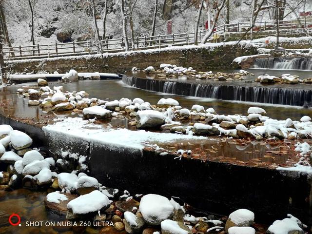 红河谷丨雪落林深处，山谷藏冬韵