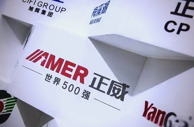 比恒大更炸的雷响了！6000亿营收神话破灭，这下许家印可不孤单了