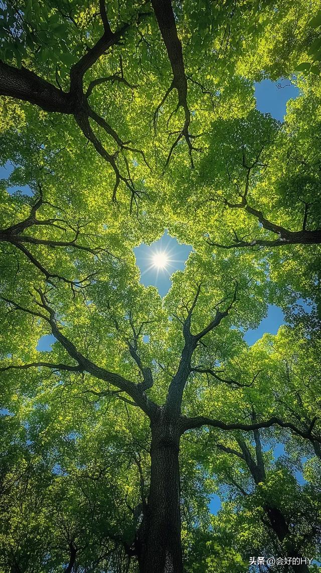 这段话，一辈子都写不出来，句句入心，永不过时，直接抄了