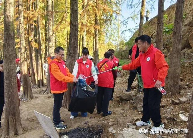 最美水杉林里志愿红