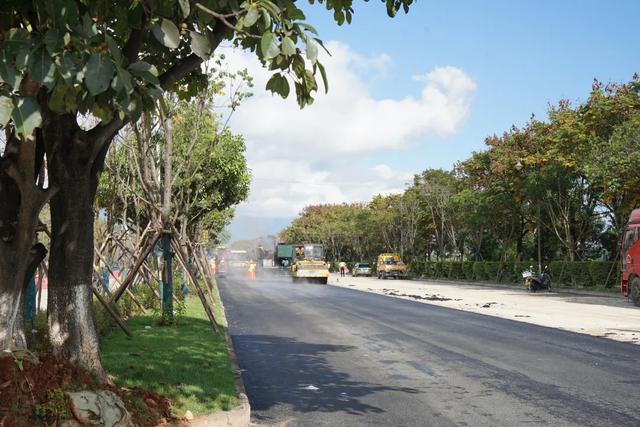 绿美大凤路：一路生花一路景