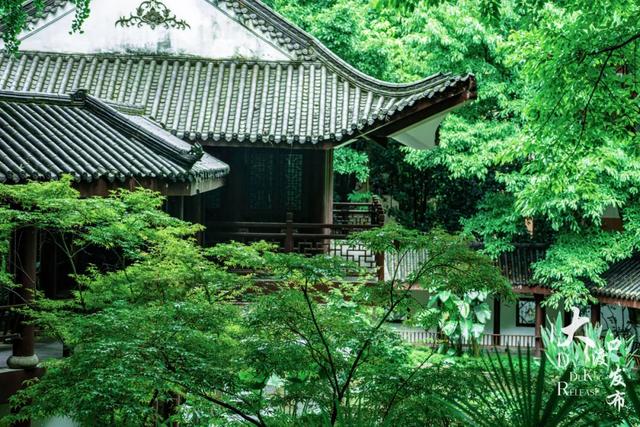下雨天，大渡口这些地方美成「烟雨江南」，快去拍！