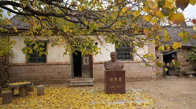 追《生万物》影视同款风情一日游，打卡爆火取景地临沂