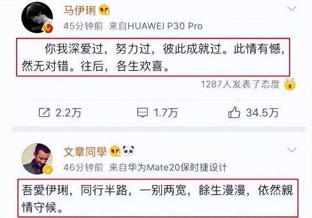 钱再多也没用！向太曝马伊琍已再婚，原来当年文章过不了心里那关