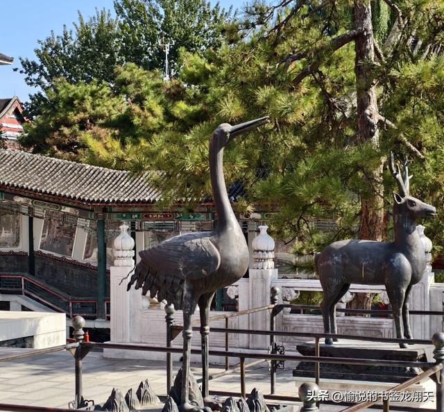 杨大爷游“北京大观园”