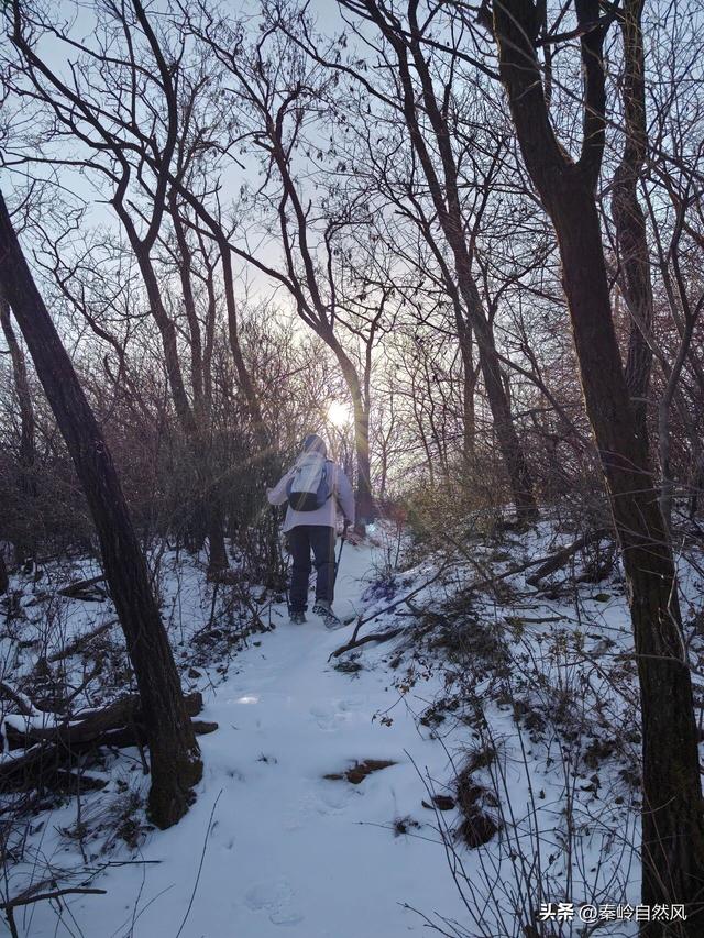 雪后初霁登顶嵯峨山，走荒野雪原，看千年悟空塔，感受历史的烟云