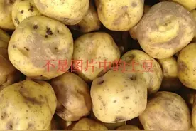 这种土豆千万不要吃，有可能中毒图片