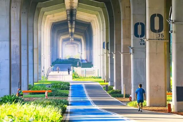 前海看海黄金季来啦，不出发真的会后悔！