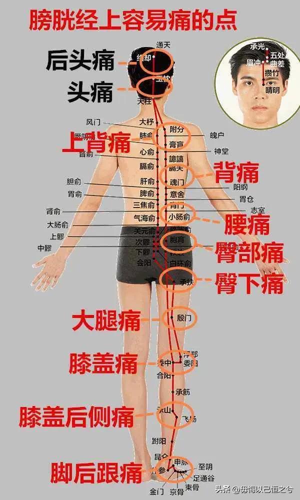 人体-结构-功能-系统