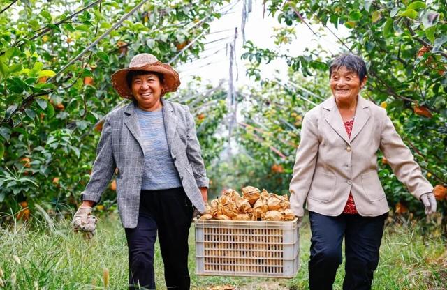 五感聊秋 | “鲁超”游聊城 品味盛满【香触】的黄运秋日