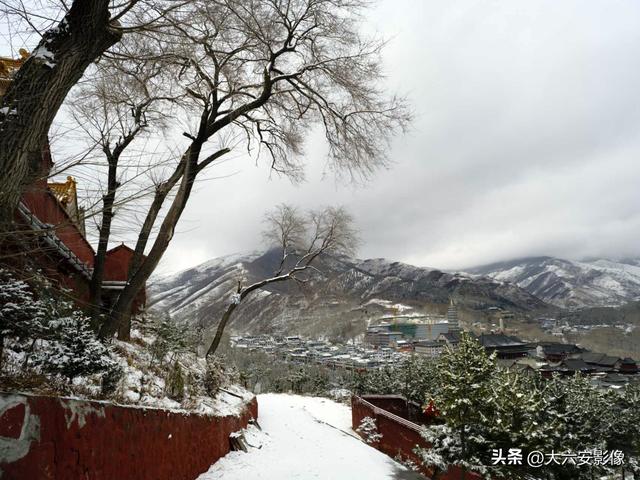 春光明媚 跟着摄影师镜头畅游美丽中国