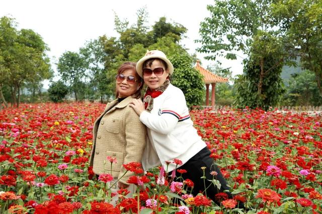 柳江藏了个宝藏地！花海邂逅热气球，浪漫又出片