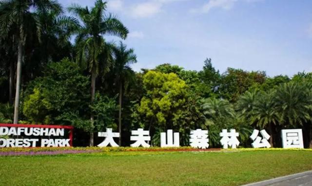 番禺不扫兴，邀你来“画马”，速来挑战这条安全环保新路线！