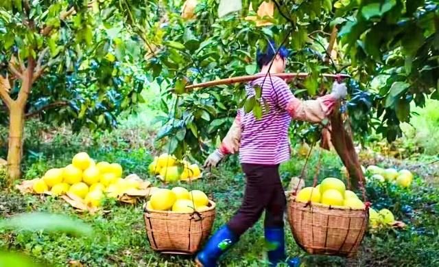 深圳开往深圳？旅客：就这样被“深深”迷住！