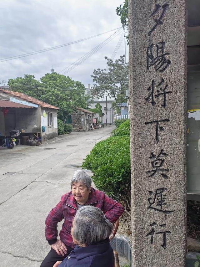 游宁波庄桥街道马径村