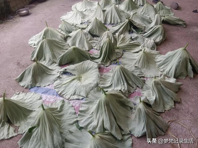 我最近热衷废墟游因为多少总会有收获,加油!我的胜利已近在眼前