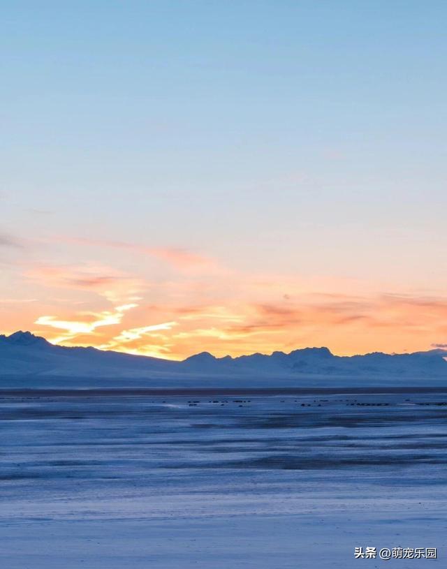 巴音布鲁克晨光染雪域，蓝调时光现壮美，新疆冬季如梦幻