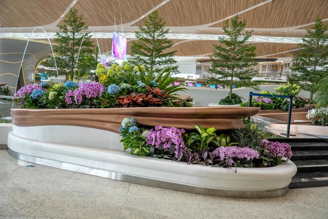 广州白云T3航站楼启用：全国最大单体机场诞生，岭南花城新地标