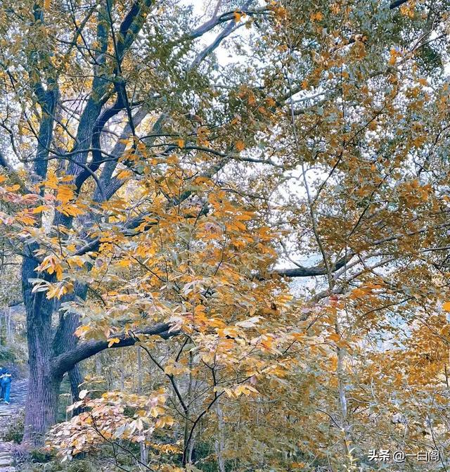 江南香山——天台·南黄古道