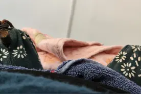 调理脾胃去艾灸（第三天）图片
