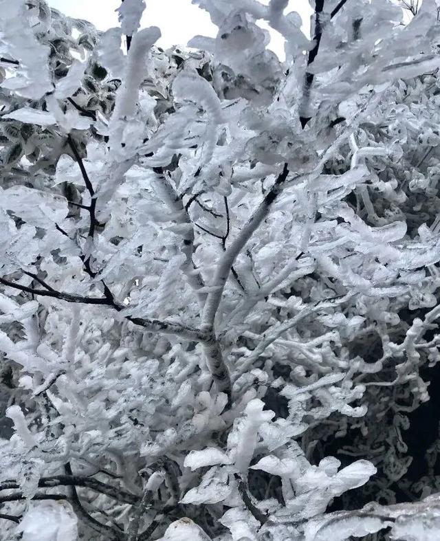 三条特色线路，共赴山亭冬日之旅