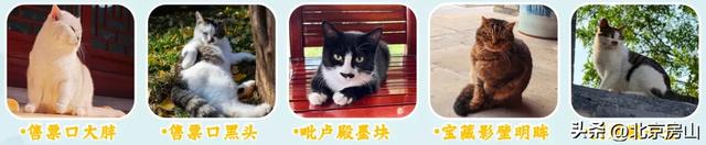 叮！邀您一起体验冬至和元旦仪式感